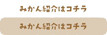 みかん紹介はこちら