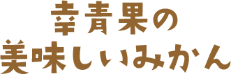幸青果の美味しいみかん