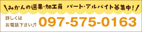 みかんの選果・加工員 パート・アルバイト募集中！